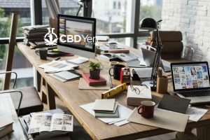 Read more about the article Latest CBD News